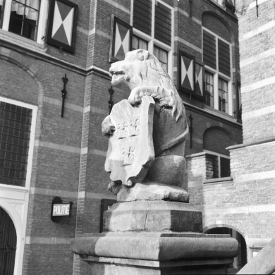 Rijksdienst voor het Cultureel Erfgoed: Delemarre, G.Th.