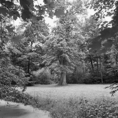 Rijksdienst voor het Cultureel Erfgoed: Wal, A.J. van der