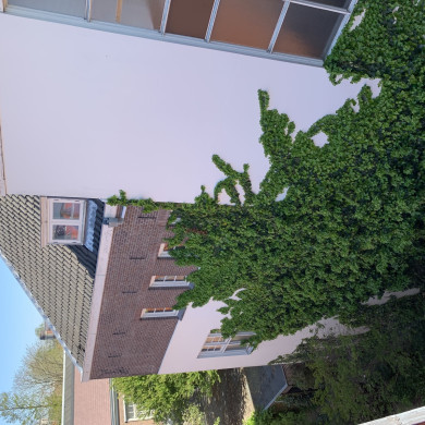 Rijksdienst voor het Cultureel Erfgoed: Bogers, Guido