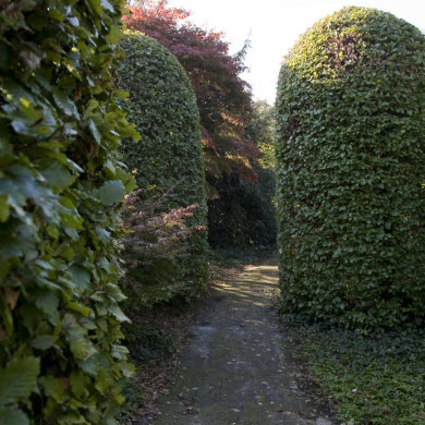 Rijksdienst voor het Cultureel Erfgoed: Technau, Sergé