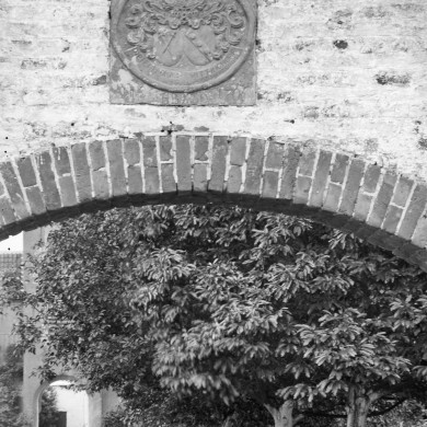 Rijksdienst voor het Cultureel Erfgoed