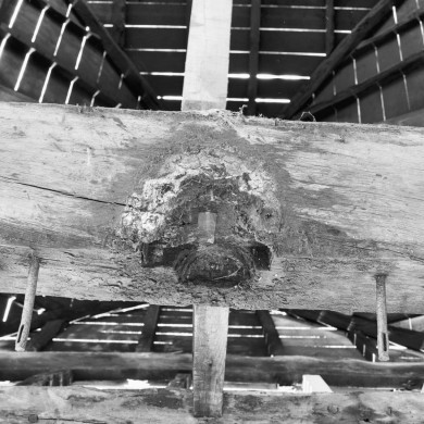 Rijksdienst voor het Cultureel Erfgoed: Tangel, L.M.