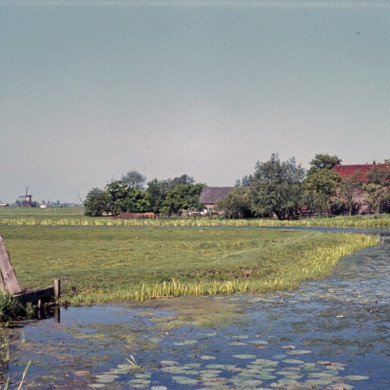 Rijksdienst voor het Cultureel Erfgoed