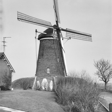 Rijksdienst voor het Cultureel Erfgoed: Tangel, L.M.