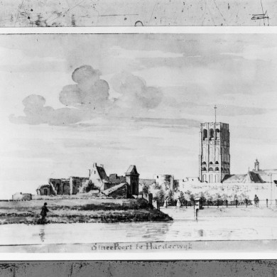 Rijksdienst voor het Cultureel Erfgoed: Rozema, J.