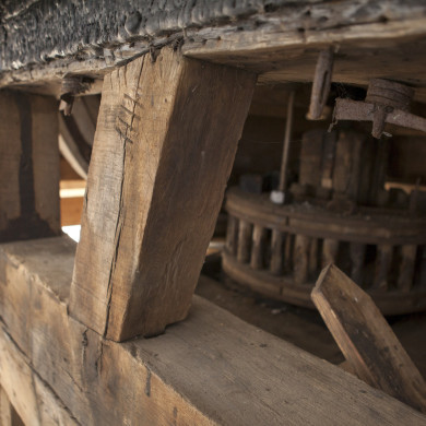 Rijksdienst voor het Cultureel Erfgoed: Roderburg, K. (Kris)