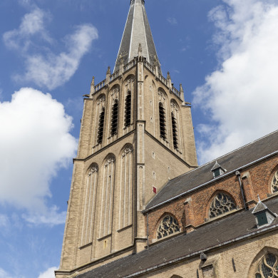 Rijksdienst voor het Cultureel Erfgoed: Schaap, Marchje
