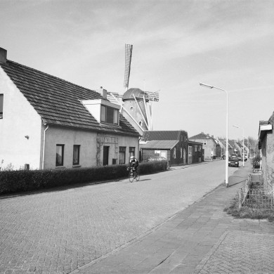 Rijksdienst voor het Cultureel Erfgoed: Tangel, L.M.