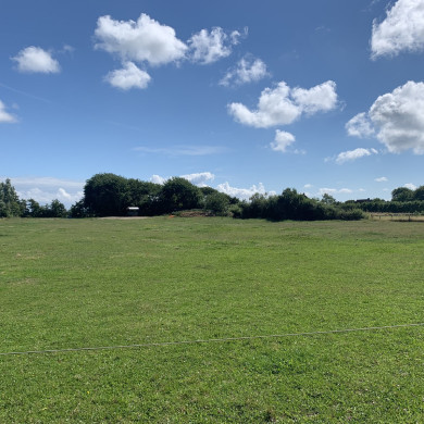 Rijksdienst voor het Cultureel Erfgoed: Bogers, Guido