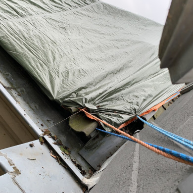 Rijksdienst voor het Cultureel Erfgoed: Bogers, Guido