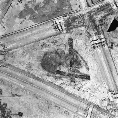 Rijksdienst voor het Cultureel Erfgoed: Delemarre, G.Th.