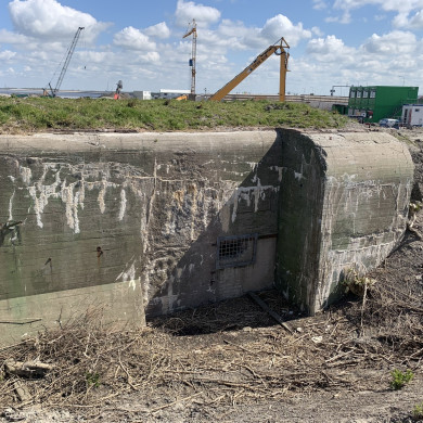Rijksdienst voor het Cultureel Erfgoed: Bogers, Guido