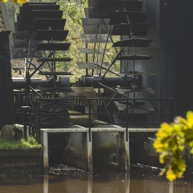 Rijksdienst voor het Cultureel Erfgoed: Buthker, Luc