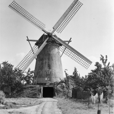 Rijksdienst voor het Cultureel Erfgoed