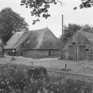 Rijksdienst voor het Cultureel Erfgoed: Delemarre, G.Th.