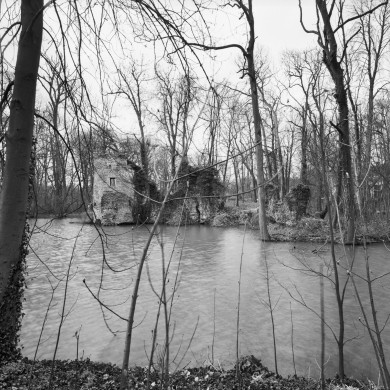 Rijksdienst voor het Cultureel Erfgoed: Heins, IJ.Th.