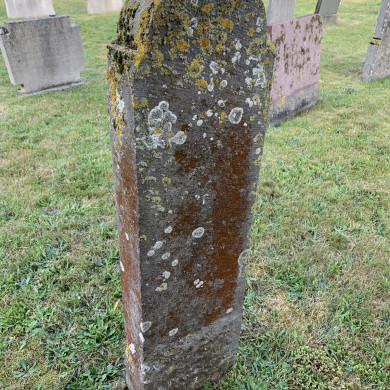 Rijksdienst voor het Cultureel Erfgoed: Bogers, Guido