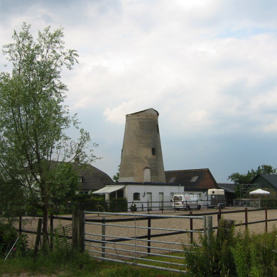 Rijksdienst voor het Cultureel Erfgoed: Terpstra, Frank