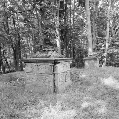 Rijksdienst voor het Cultureel Erfgoed: Wal, A.J. van der