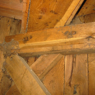 Rijksdienst voor het Cultureel Erfgoed: Terpstra, Frank