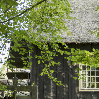 Rijksdienst voor het Cultureel Erfgoed: Buthker, Luc