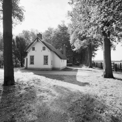 Rijksdienst voor het Cultureel Erfgoed: Heins, IJ.Th.