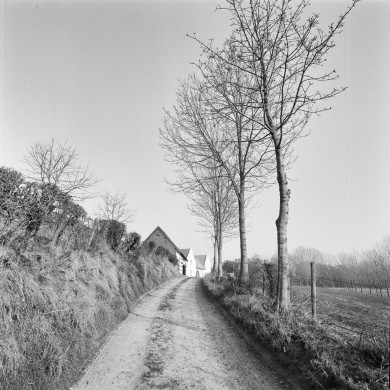 Rijksdienst voor het Cultureel Erfgoed: Galen, P. (Paul) van