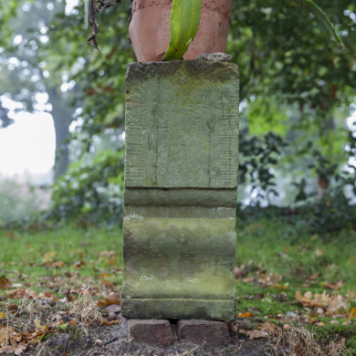 Rijksdienst voor het Cultureel Erfgoed: Sar, Wouter van der