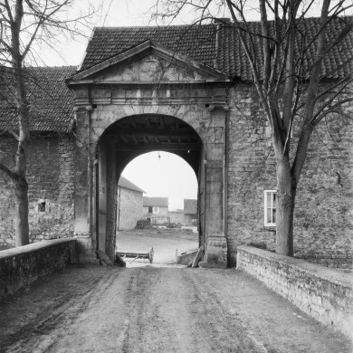 Rijksdienst voor het Cultureel Erfgoed: Delemarre, G.Th.