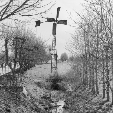 Rijksdienst voor het Cultureel Erfgoed: Galen, P. (Paul) van