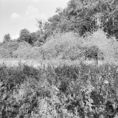 Rijksdienst voor het Cultureel Erfgoed: Galen, P. (Paul) van