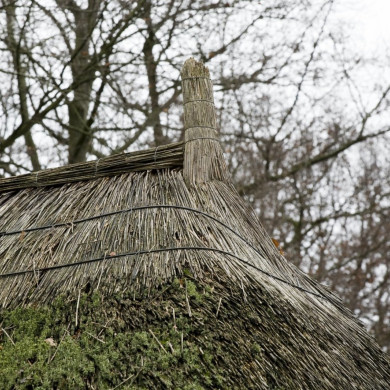 Rijksdienst voor het Cultureel Erfgoed: Booms, C.S. (Chris)