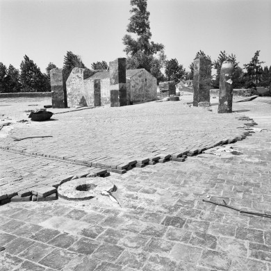 Rijksdienst voor het Cultureel Erfgoed: Galen, P. van