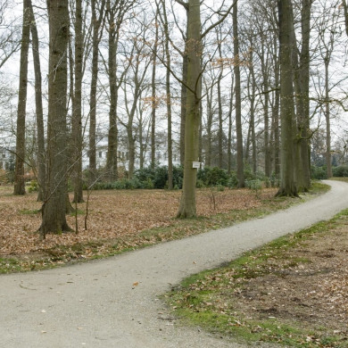 Rijksdienst voor het Cultureel Erfgoed: Galen, Jan van