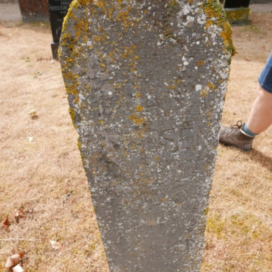 Rijksdienst voor het Cultureel Erfgoed: Dolfin, M. en Erkelens, M.