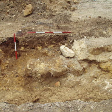 Rijksdienst voor het Cultureel Erfgoed