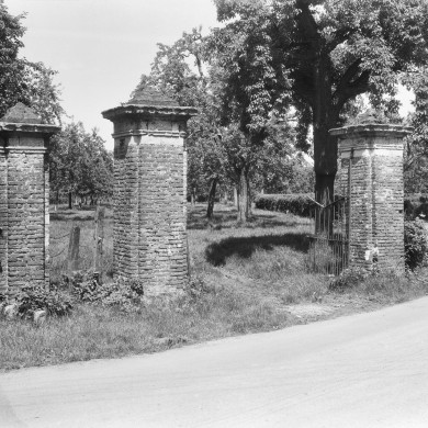 Rijksdienst voor het Cultureel Erfgoed: Delemarre, G.Th.