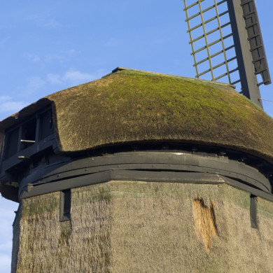 Rijksdienst voor het Cultureel Erfgoed: Galen, Jan van