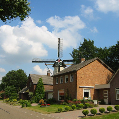 Rijksdienst voor het Cultureel Erfgoed: Terpstra, Frank