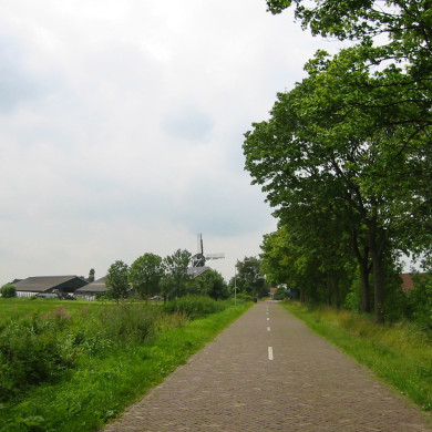 Rijksdienst voor het Cultureel Erfgoed: Terpstra, Frank