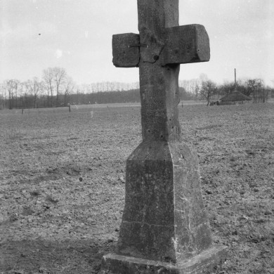 Rijksdienst voor het Cultureel Erfgoed: Schellekens, P.C.