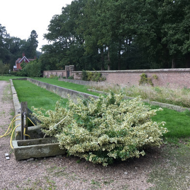Rijksdienst voor het Cultureel Erfgoed: Wal, Henry van der