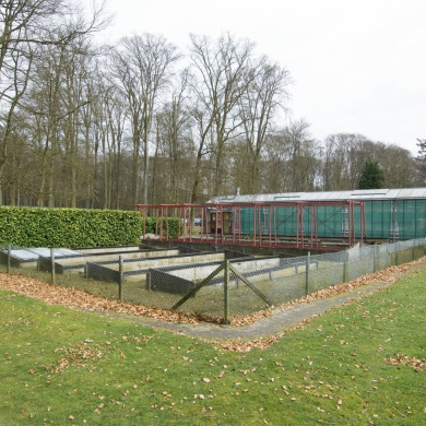 Rijksdienst voor het Cultureel Erfgoed: Galen, Jan van