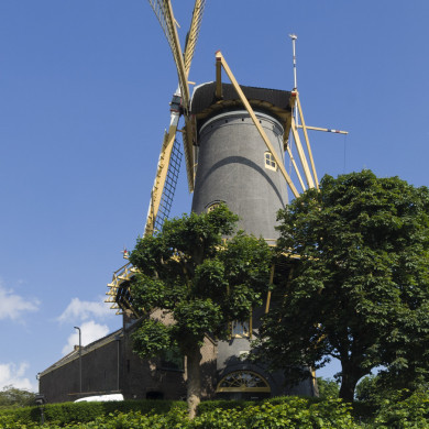 Rijksdienst voor het Cultureel Erfgoed: Galen, Jan van