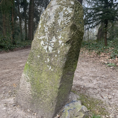 Rijksdienst voor het Cultureel Erfgoed: Bogers, Guido
