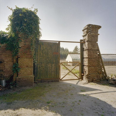 Rijksdienst voor het Cultureel Erfgoed: Heins, IJ.Th.