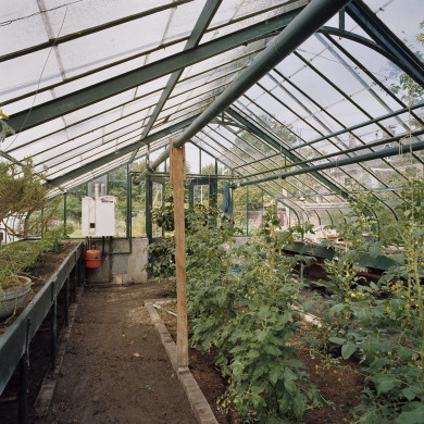 Rijksdienst voor het Cultureel Erfgoed: Heins, IJ.Th.