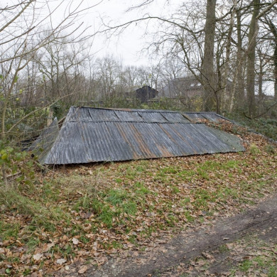Rijksdienst voor het Cultureel Erfgoed: Booms, C.S. (Chris)