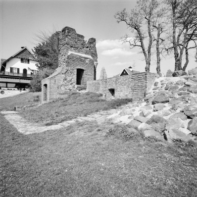 Rijksdienst voor het Cultureel Erfgoed: Galen, P. van