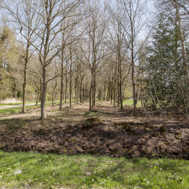 Rijksdienst voor het Cultureel Erfgoed: Sar, Wouter van der